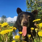 willy - @williamsherrill_ - Instagram