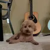 SherwinWilliams - @sherwinwilliams181 - TikTok