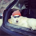 william - @william.shimo - Instagram