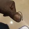 williamshrieves - @williamshrieves - TikTok