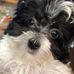 William Shuart - Facebook