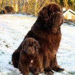 William Shuey - @williamshuey8287 - Instagram