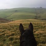 William Shuttleworth - @william_shuttleworth - Instagram