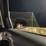 @william_siano - Instagram