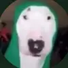 williamsickels73 - @williamsickels73 - TikTok