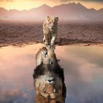 William.Siegfried1748 - @djoudi.benhacine - Instagram