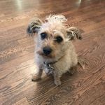 Billy Scigliano - @williamsigman - Instagram