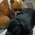 Williams Sime - Facebook