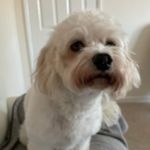 William Simkins - @william.simkins1 - Instagram