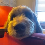 William Sirois - @_willsirois_ - Instagram