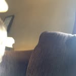 William Slaymaker - @williamslamaker1 - Instagram