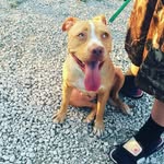 William Slayton - @billyslayton124 - Instagram