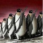 William Smock - @russianpengu - Instagram