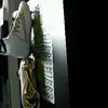 William Söderberg - @williamsderberg2 - TikTok