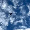 william.soderberg mother - @william.soderbergmother - TikTok