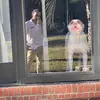 Will’s Solarium LLC - @william_solarium_llc - TikTok