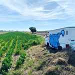 William Somerset - @william_sommerset - Instagram