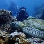 William Soon - @william.soon - Instagram