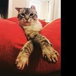 @tracy_williamsox - Instagram