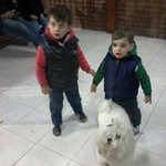 Williams Panozzo Galmarrello - @williamspanozzo - Instagram