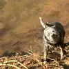 William sparkman - @william.sparkman8 - TikTok