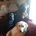 William Spates - Facebook