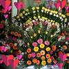 Williams Patzan - @williams.patzan - TikTok