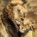 William Spinner - @williamspinner640 - Instagram