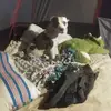 William Splawn - @william.splawn - TikTok