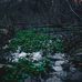 William M. Klein Park (aka: Cave Spring) - Facebook