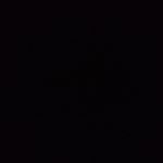 William Squires - @william.squires18 - Instagram