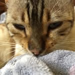 William Squires - @rayofsunshine14 - Instagram