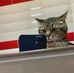 William Stadler - Facebook