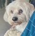 Bill Staffieri - Facebook