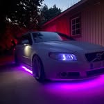 @william_stammgard - Instagram