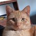 William R. Stambaugh - Facebook
