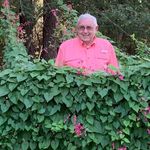 William David Stamps - @williamdavidstamps - Instagram