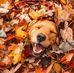 William Stander - Facebook