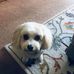 William Senkus - Facebook