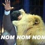 William Staudt - @william.staudt.1 - Instagram