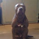 William Stclair - @william.stclair.5070 - Instagram