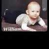 William Steckly - @william.steckly - TikTok