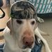 William Stecher - Facebook