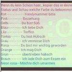 William - @william.steck - Instagram