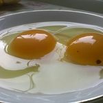 William Steele - @william.steele.77964 - Instagram