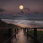 William Steele - @williamsteele071 - Instagram