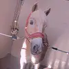 William van steenbergen - @willy_de_haflinger_ - TikTok