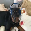 William Petersen steffensen - @william3109 - TikTok