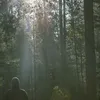 WilliamSteinbeck9888 - @williamsteinbeck9888 - TikTok