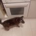 William Steptoe - Facebook
